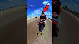 Download lagu This Cat Did Something Nobody Expected! #cat #cats #catvideos mp3