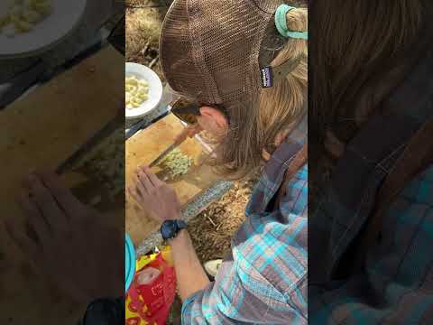 Cooking at the Goat Community Festival, Portugal