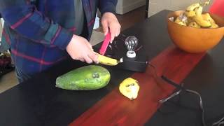 Papaya & Pear Conductivity Test: From Unripened, To Ripe, To Over Ripened