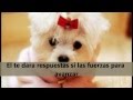 conpaz compuesto cada vez con letra HD 