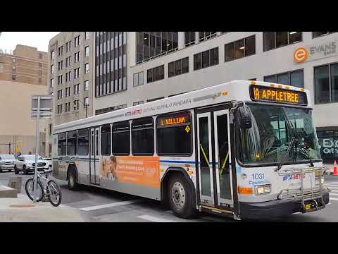NFTA Metro Bus 2010 Gillig Advantage Low Floor 40' 1031 on Route 1A