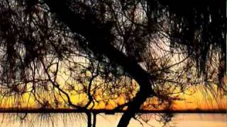 Annie Lennox   DARK ROAD