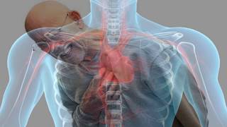tratamiento caseros para arritmia cardiaca tratamiento caseros para arritmia cardiaca