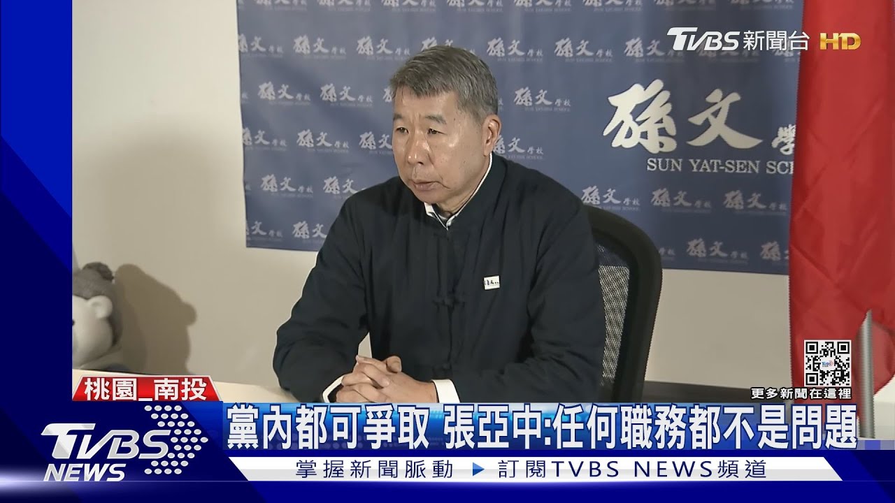 張亞中表態選2024 認黨外合作應「政策+理念」