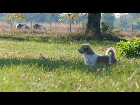 JETA NË FSHAT - Reportazhet e vitit 2022