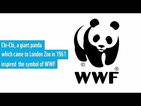 WWF History - 60 years of action for nature and people