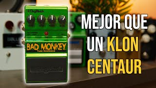 ¿NOS MIENTE JHS? 🙊 | Digitech Bad Monkey