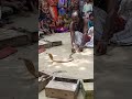 Live Snake Game Playing In Village