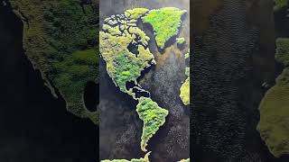 Wooden World Map with Moss Design