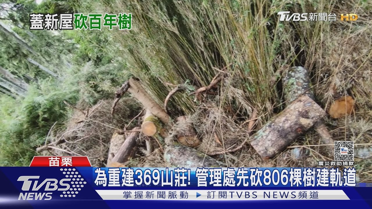 為重建369山莊！　管理處先砍806棵樹建軌道