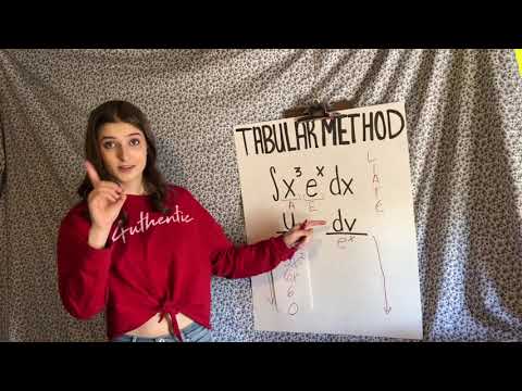Calculus 2 Project - Integration by Parts Tabular Method (Sign Language)