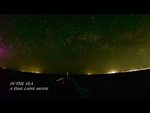 In the Sea II FG Rotterdam || A Time Lapse Movie.