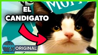 Thumbnail del capítulo