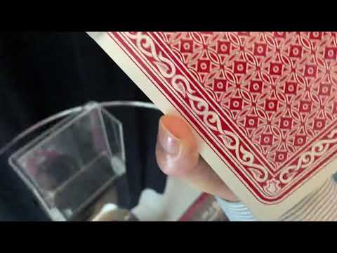 Jan Leenders Jumbo Rising card