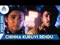 Chellakannu 1995 Tamil Movie Songs Chinna Kuruvi Rendu Video Song SPB K S Chitra Deva
