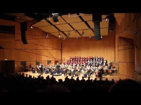 Neujahrskonzert darmstadtium 5.1.2014 Geigenwurf