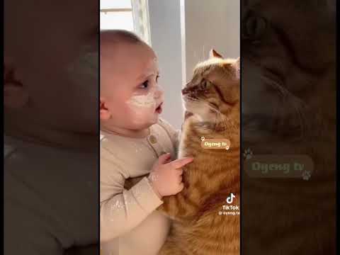 Thumbnail for #music #football #lifeisbutadream #cat #catlovers #soccerplayer #dreamscreenai