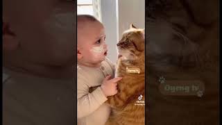 #music #football #lifeisbutadream #cat #catlovers #soccerplayer #dreamscreenai