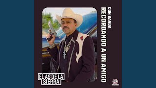 Palomita A Donde Vas Lyrics English Translation