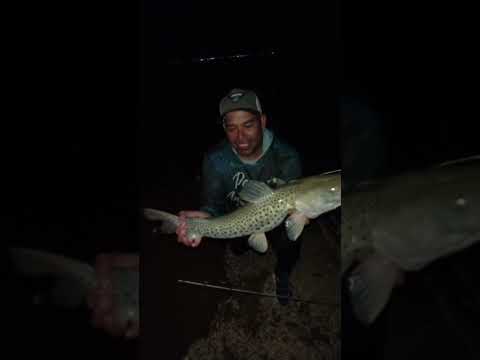 una escapada ala isla del cerrito