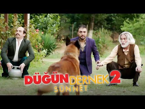 Köpek Ters Köşe Yapıyor | Düğün Dernek 2: Sünnet