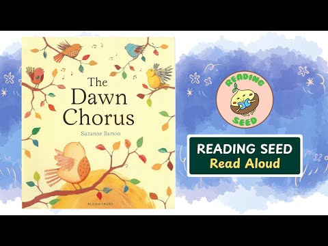 The Dawn Chorus - Shelter