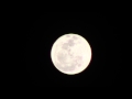 MoonBoom