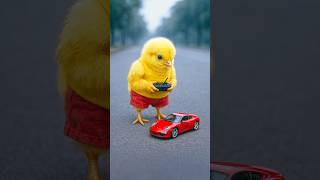 🐥🌟 “Never Too Small to DREAM BIG