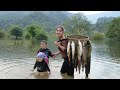 Set Traps And Catch Giant Fish To Sell At The Market Take Care Of Chicks And Ducklings