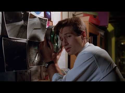 Fox Mulder"I think it's remotely plausible that someone might think you're hot"