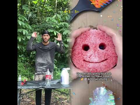 #dog #dúo #humor #dúo #athlete #pitbull #perros #race #duet