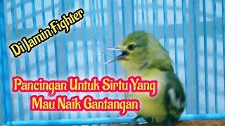 Download lagu Pancingan Sirtu Sebelum Naik Gantangan mp3