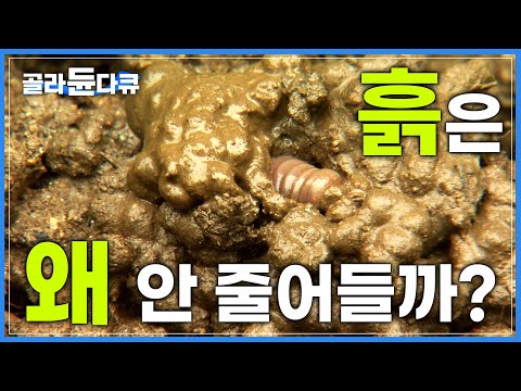 아이콘