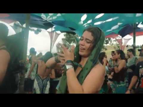 High Frequency - Árvore da Vida