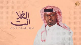 كلمات اغنية انت الغلا فالح سعد