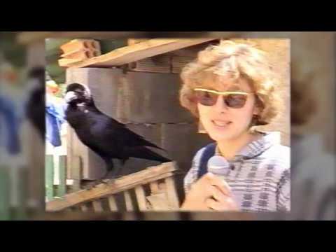 Son Sardina 1987-1989 (1a part)