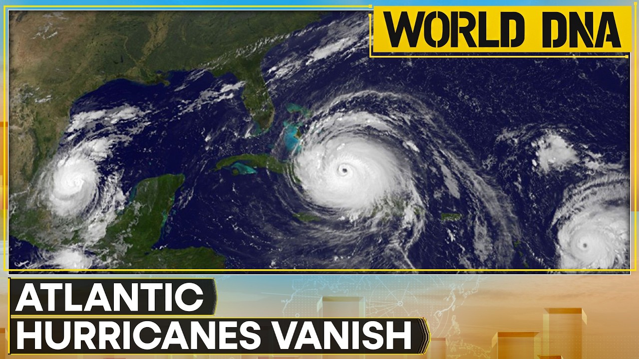 No Hurricanes, Record Heat: What Is Happening To The Atlantic? | WION World DNA