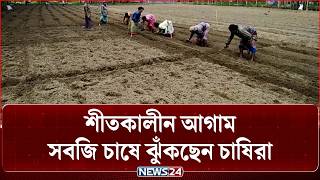 দিনাজপুরে আগাম শীতকালীন সবজি চাষে ঝুকছেন কৃষকরা - নিউজ 24