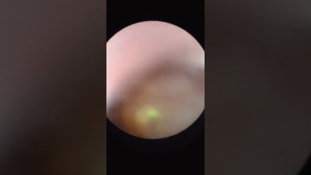 Leonardo Rafael Vázquez Enríquez-9