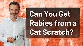 Can You Get Rabies from a Cat Scratch?