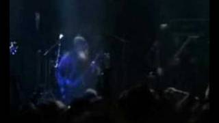 Carpathian Forest - Bloodcleansing