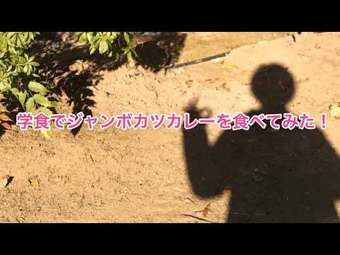 法学科 学食でジャンボカツカレーを食べてみた！