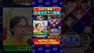 お盆期間の天下一武道会開催について #dokkanbattle #dragonball  #shorts