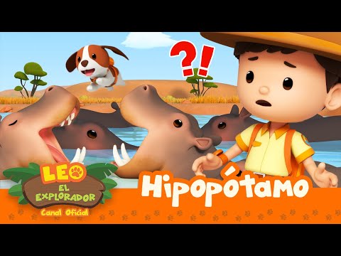 Hipopótamo 🦛 | Leo, El Explorador Episodio | Animación | #compilation