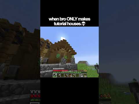 when bro ONLY makes tutorial houses