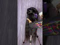 Flexi Rod Tutorial