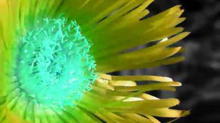Go To Church- Gnarls Barkley