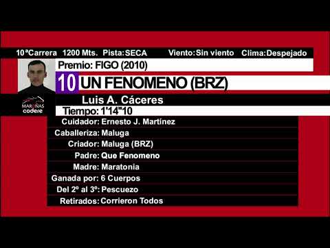 CARRERAS DE TURF HIPODROMO DE MAROÑAS  27/12/25 I  EN  VIVO I URUGUAY