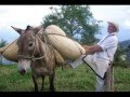 LOS ARRIEROS HERMANOS HERRERA(bambuco)