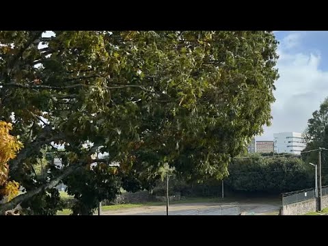 Vídeo TimeLapse do clima do Porto | Experimente um clima diferente em poucas horas @Lifee_360